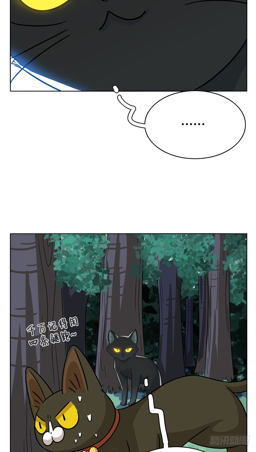 《回到过去变成猫外传》第37爪 身份被拆穿（下） 第19页