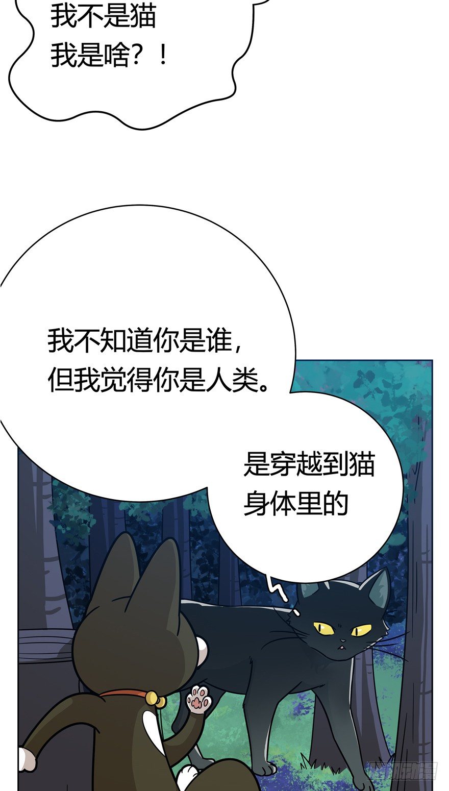 《回到过去变成猫外传》第37爪 身份被拆穿（下） 第6页