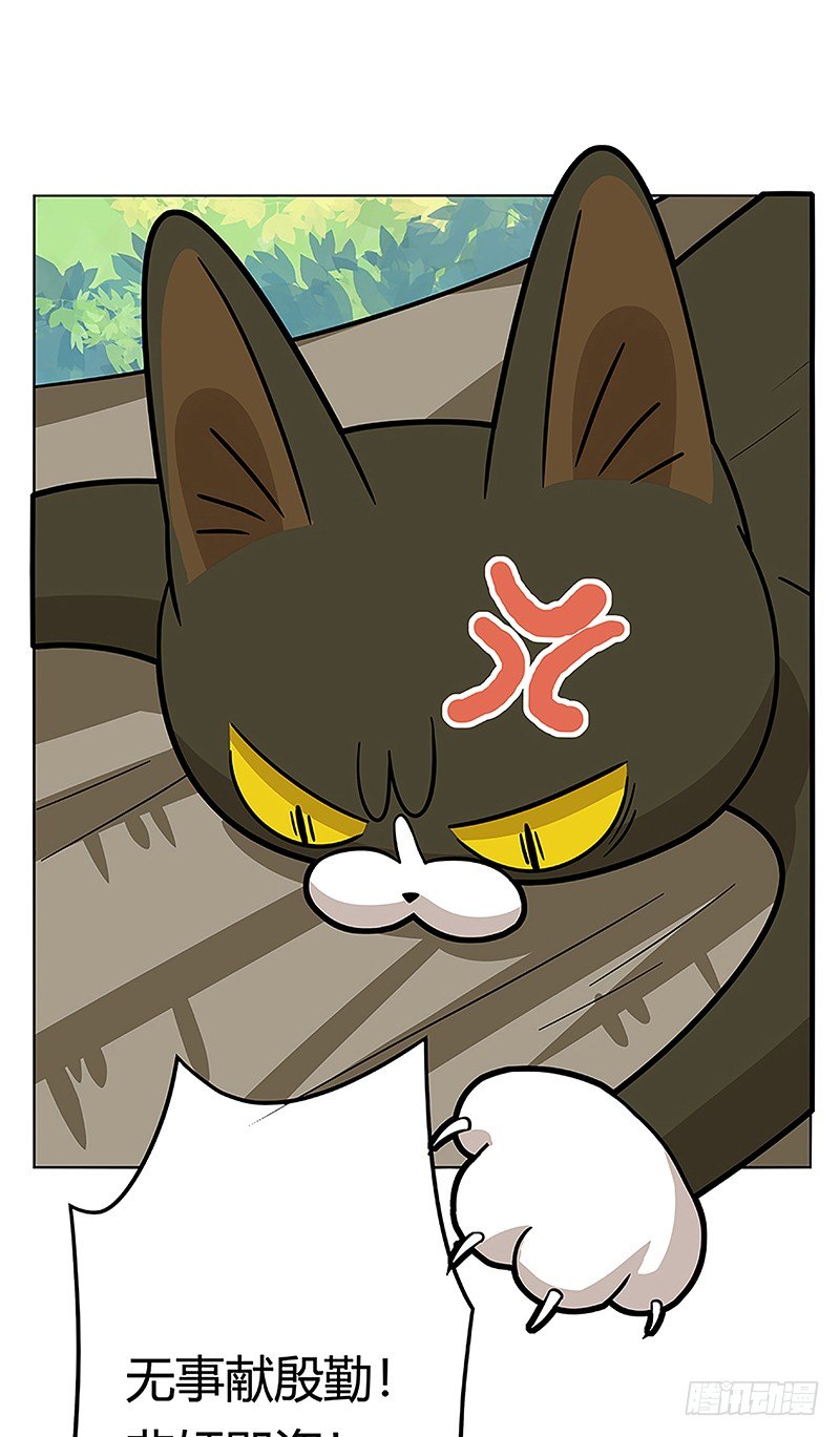 《回到过去变成猫外传》第38爪 坑你没商量 第13页