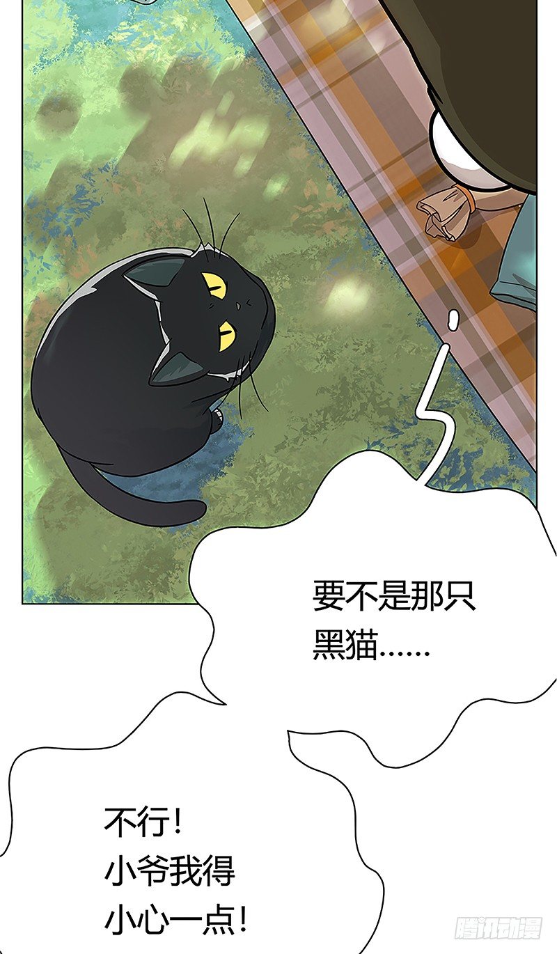 《回到过去变成猫外传》第38爪 坑你没商量 第15页