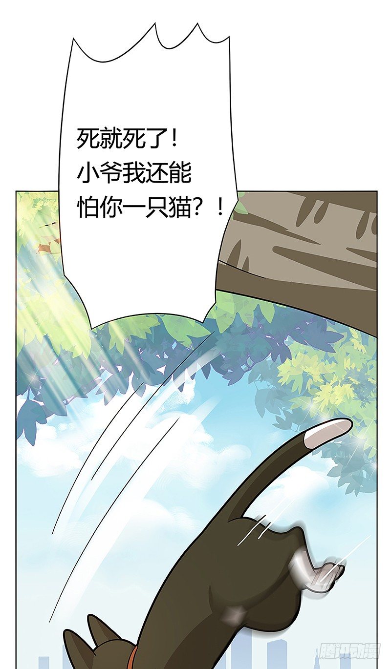 《回到过去变成猫外传》第38爪 坑你没商量 第19页