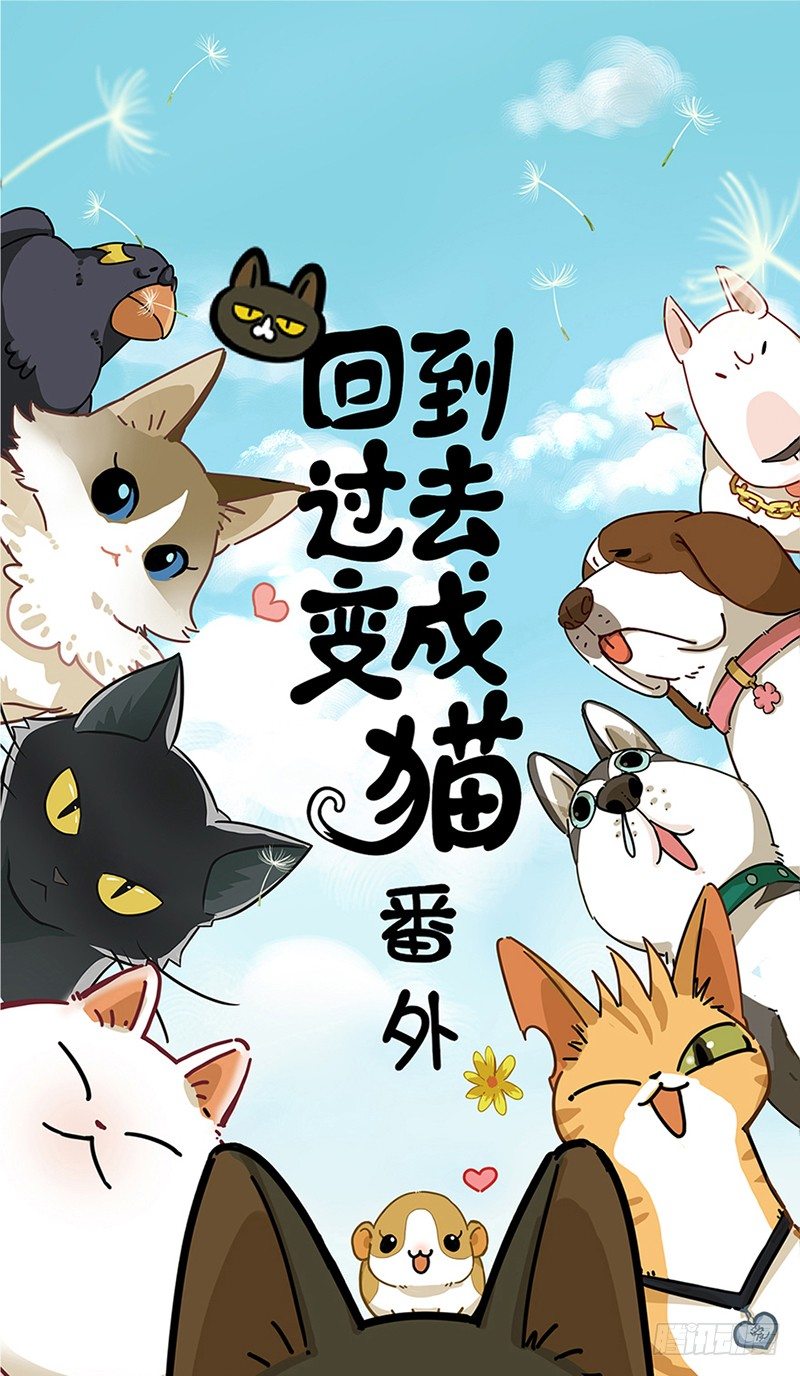《回到过去变成猫外传》第38爪 坑你没商量 第1页