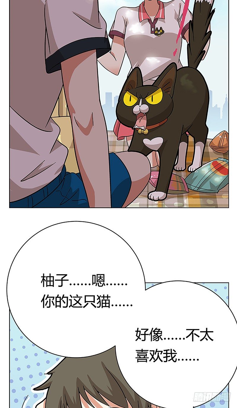 《回到过去变成猫外传》第38爪 坑你没商量 第21页