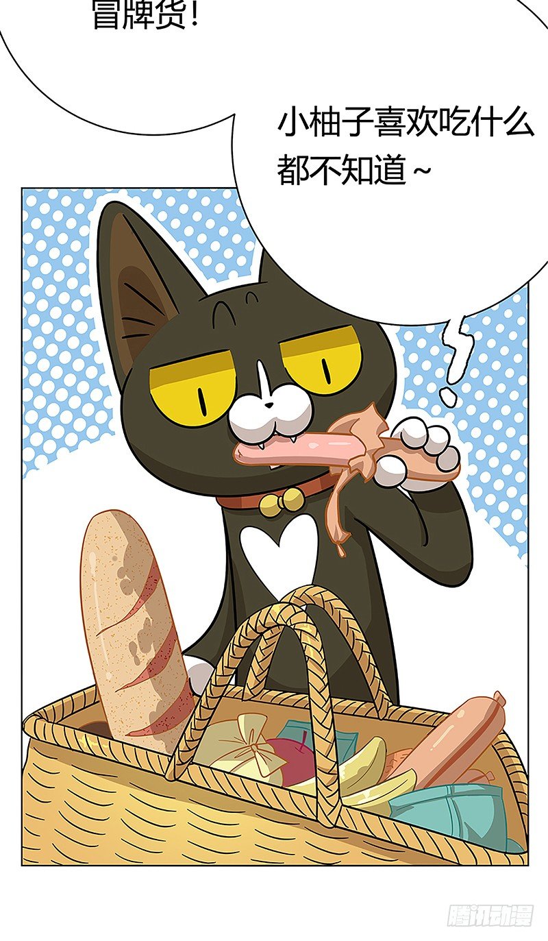 《回到过去变成猫外传》第38爪 坑你没商量 第29页