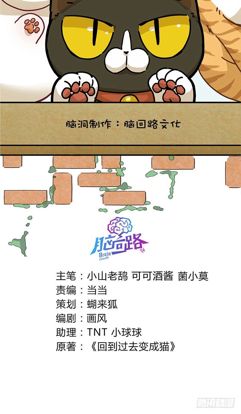《回到过去变成猫外传》第38爪 坑你没商量 第2页