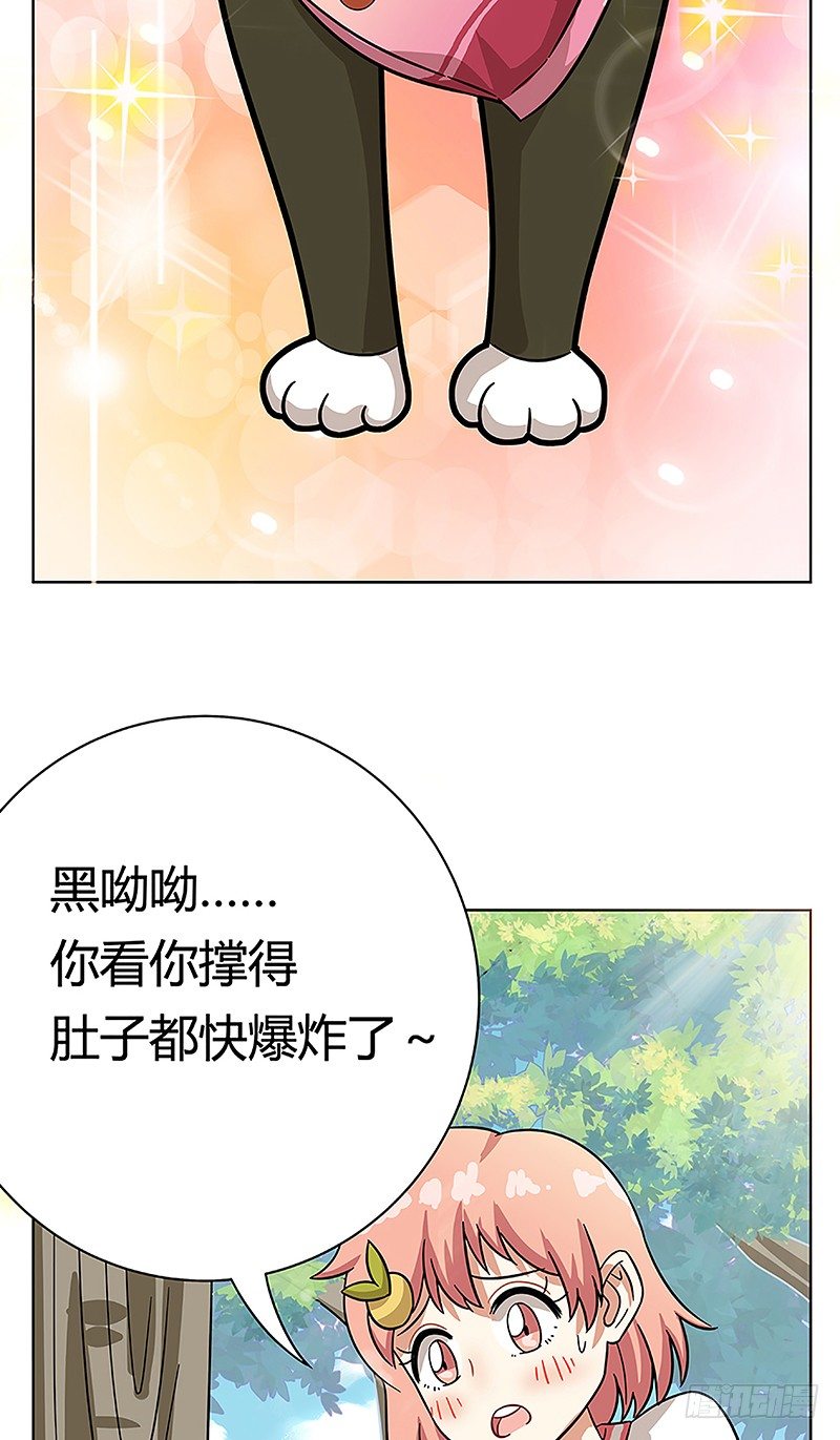 《回到过去变成猫外传》第38爪 坑你没商量 第33页