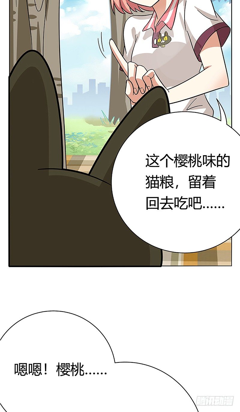 《回到过去变成猫外传》第38爪 坑你没商量 第34页