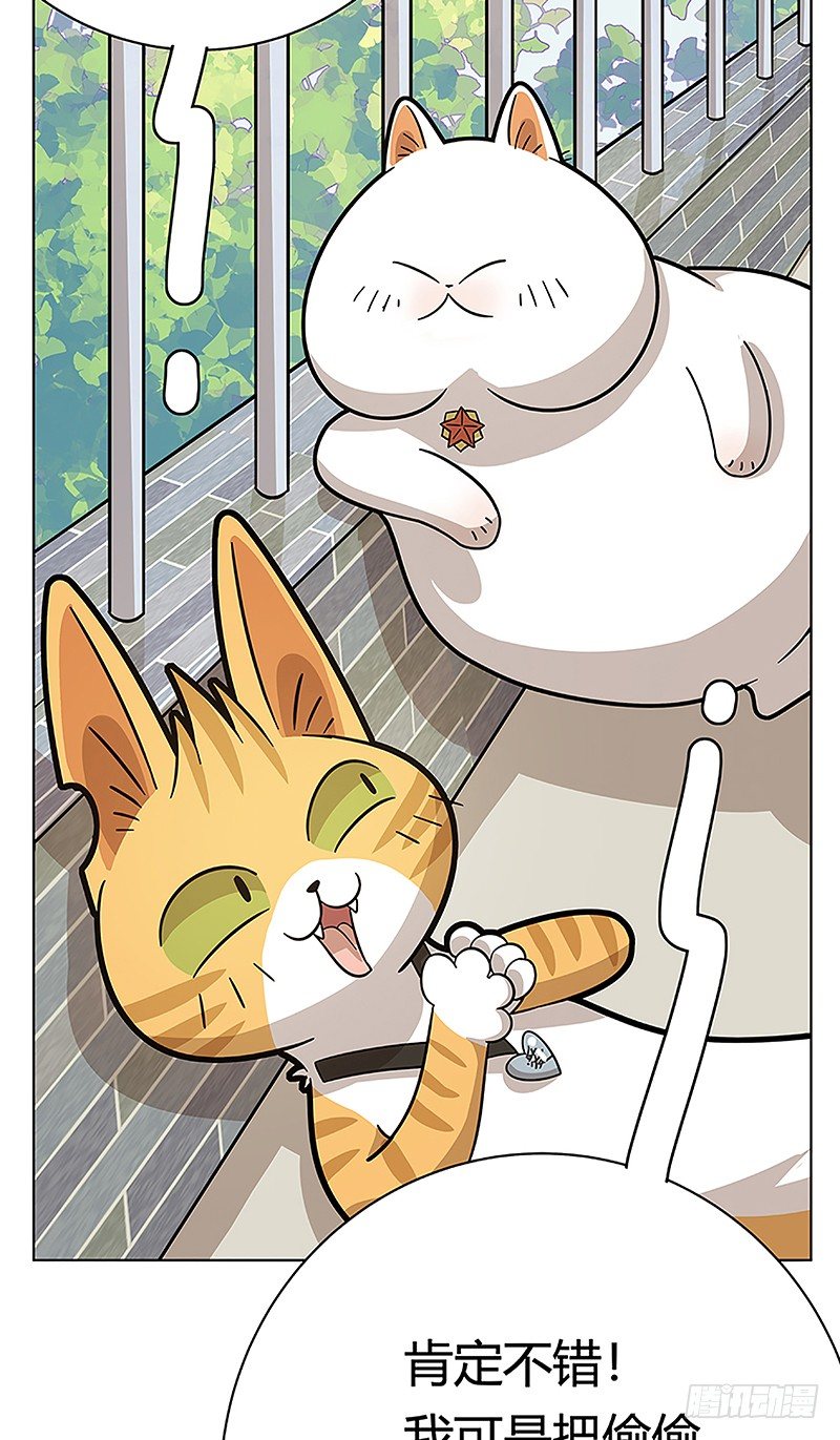 《回到过去变成猫外传》第38爪 坑你没商量 第39页