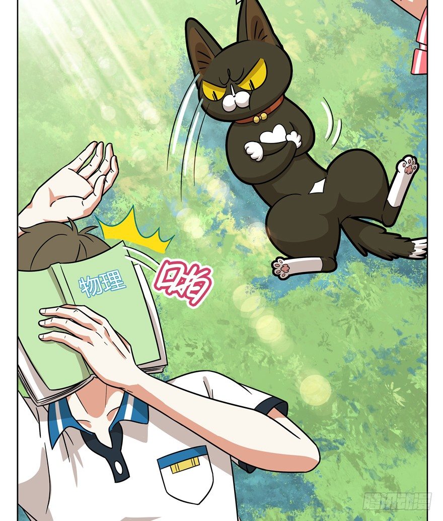 《回到过去变成猫外传》第39爪 那日初心动 第10页