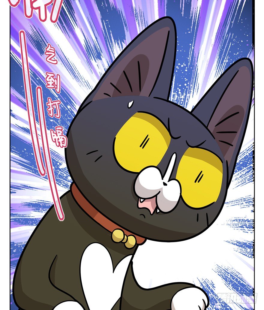 《回到过去变成猫外传》第39爪 那日初心动 第12页