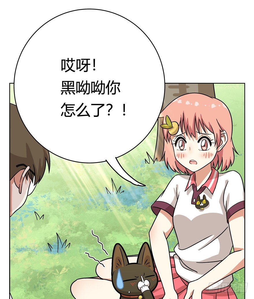 《回到过去变成猫外传》第39爪 那日初心动 第14页