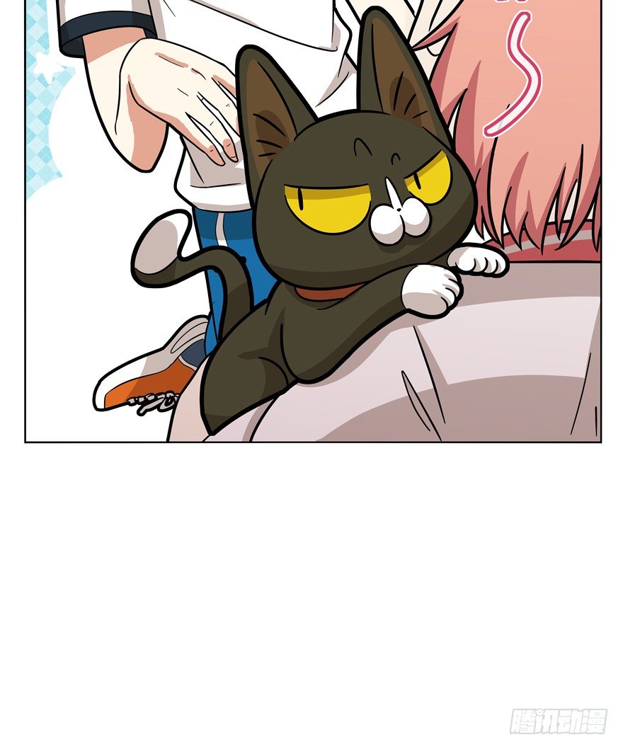《回到过去变成猫外传》第39爪 那日初心动 第24页