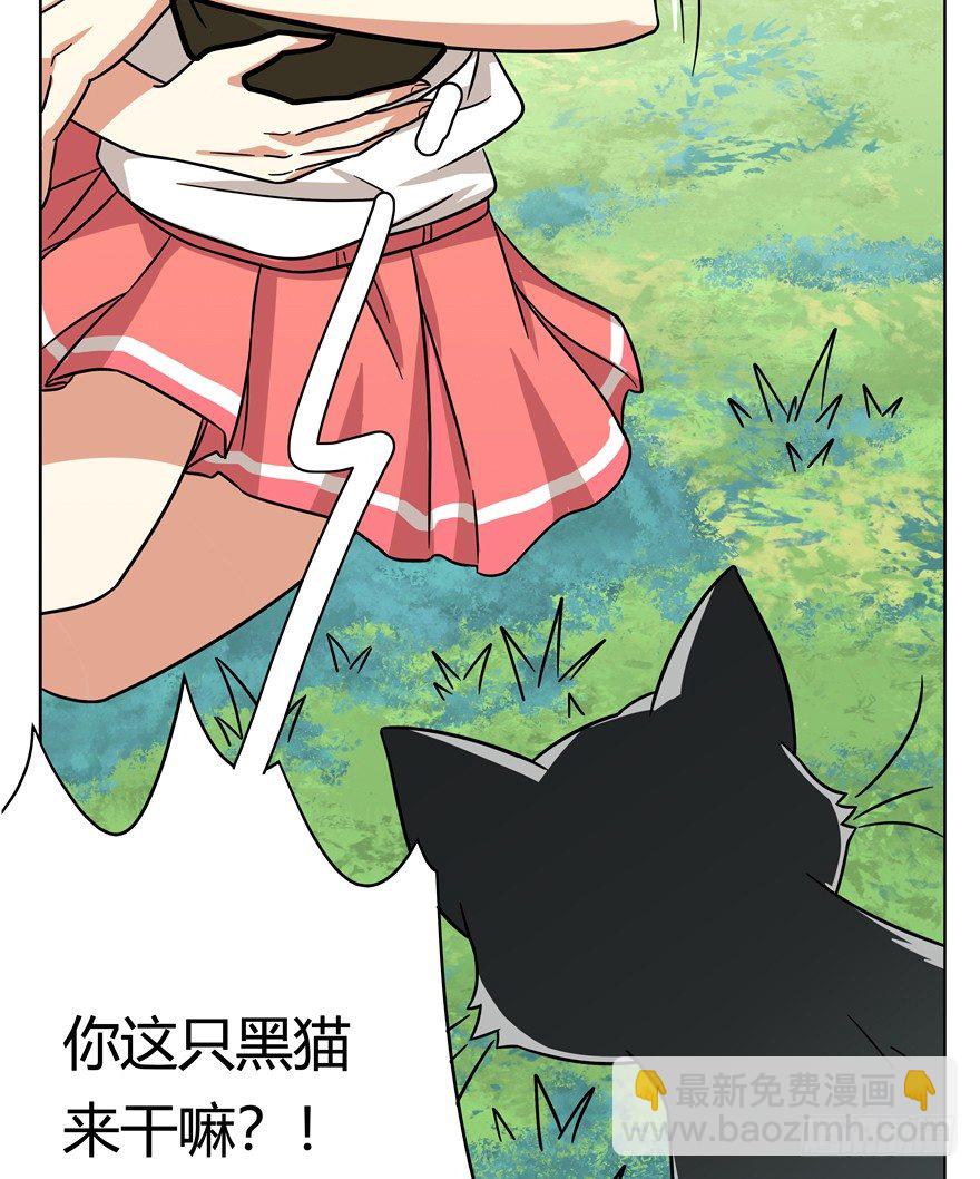 《回到过去变成猫外传》第39爪 那日初心动 第27页