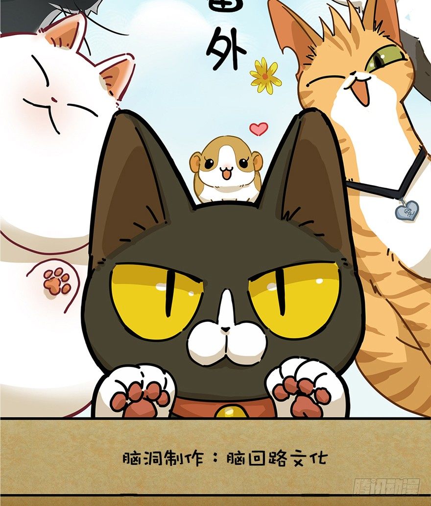 《回到过去变成猫外传》第39爪 那日初心动 第2页