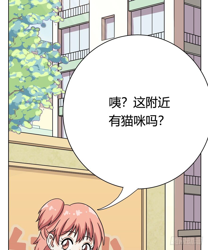 《回到过去变成猫外传》第39爪 那日初心动 第34页