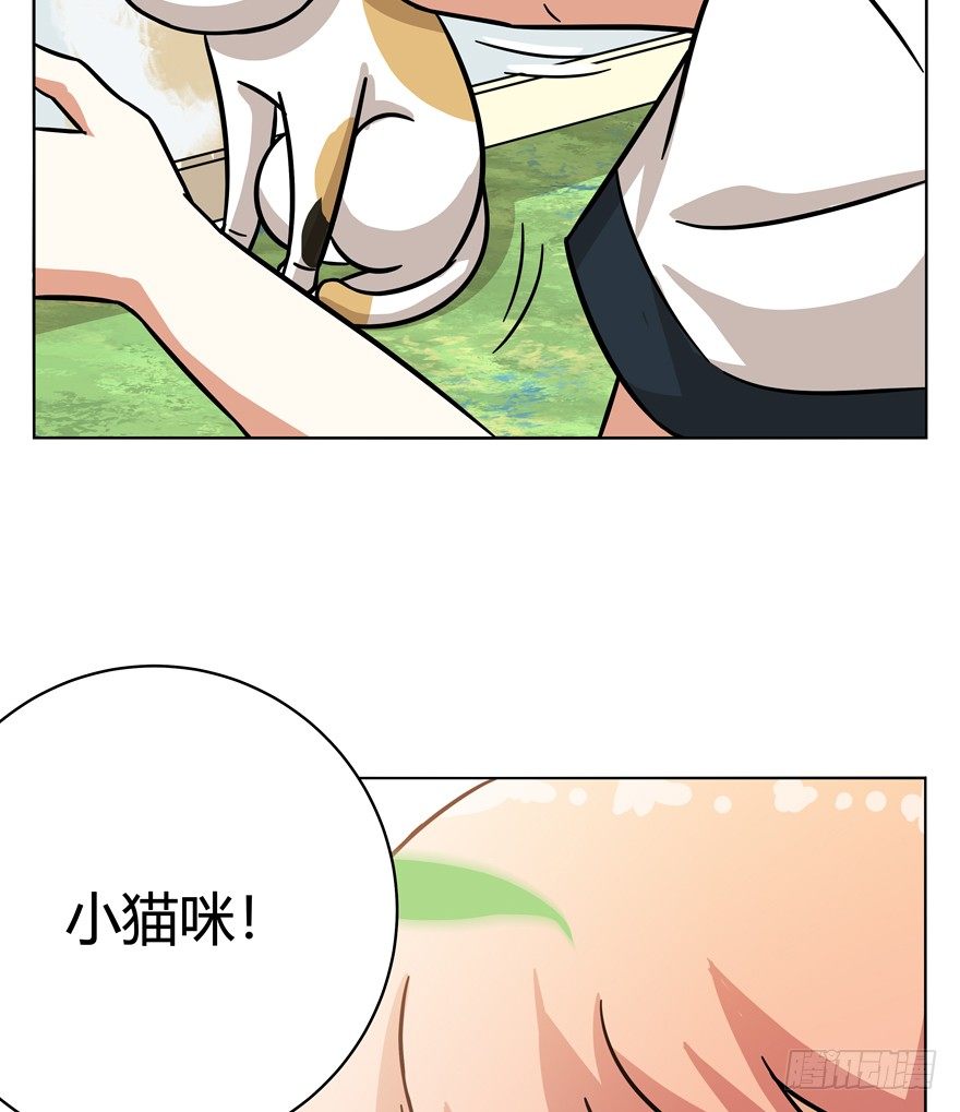 《回到过去变成猫外传》第39爪 那日初心动 第39页