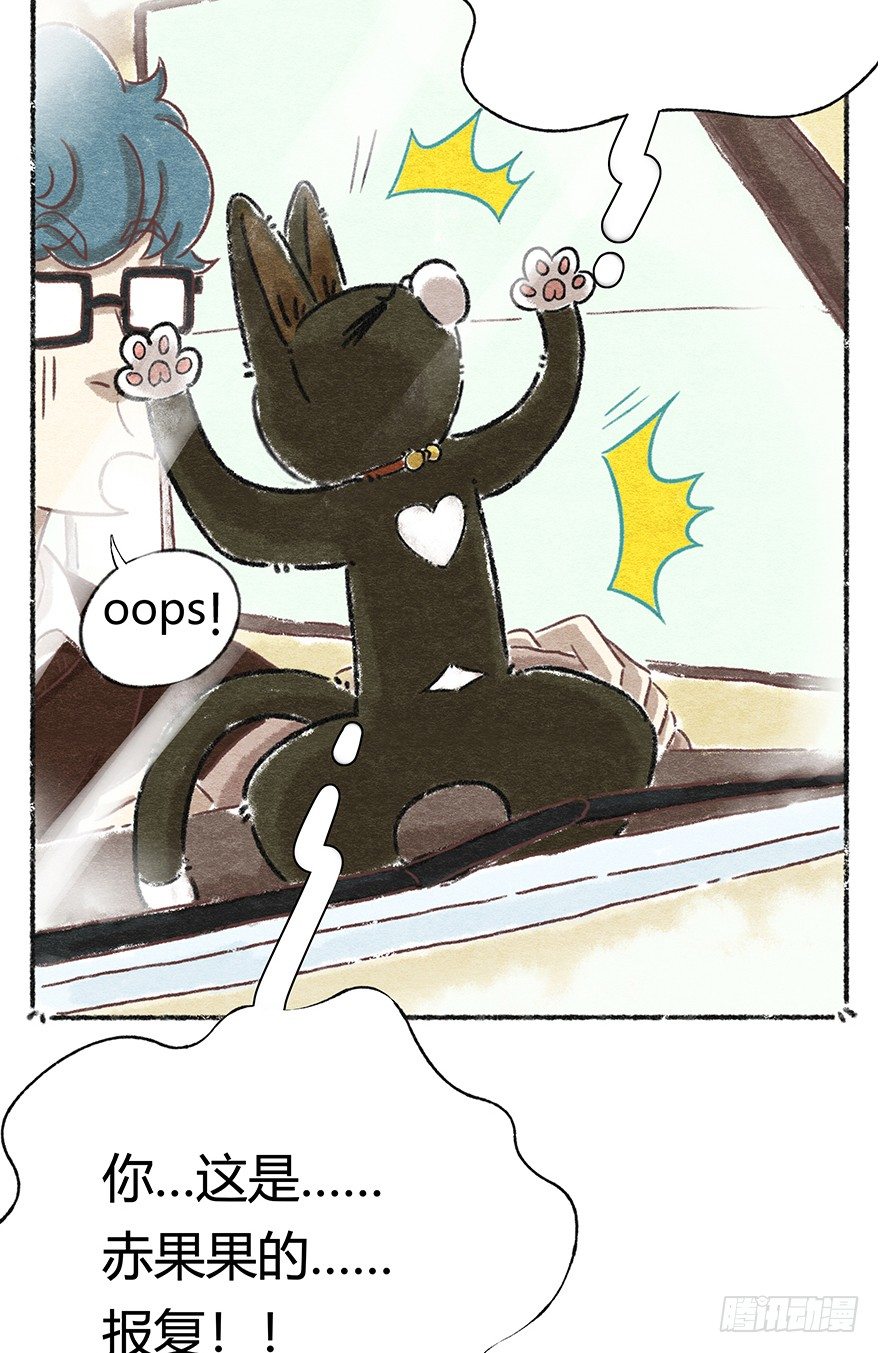 《回到过去变成猫外传》新年番外二怎么哪都有你 第11页