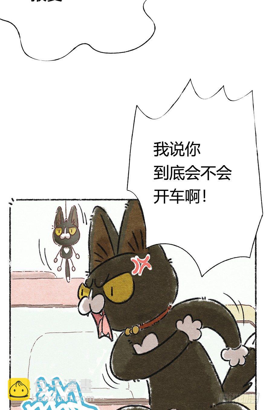 《回到过去变成猫外传》新年番外二怎么哪都有你 第12页