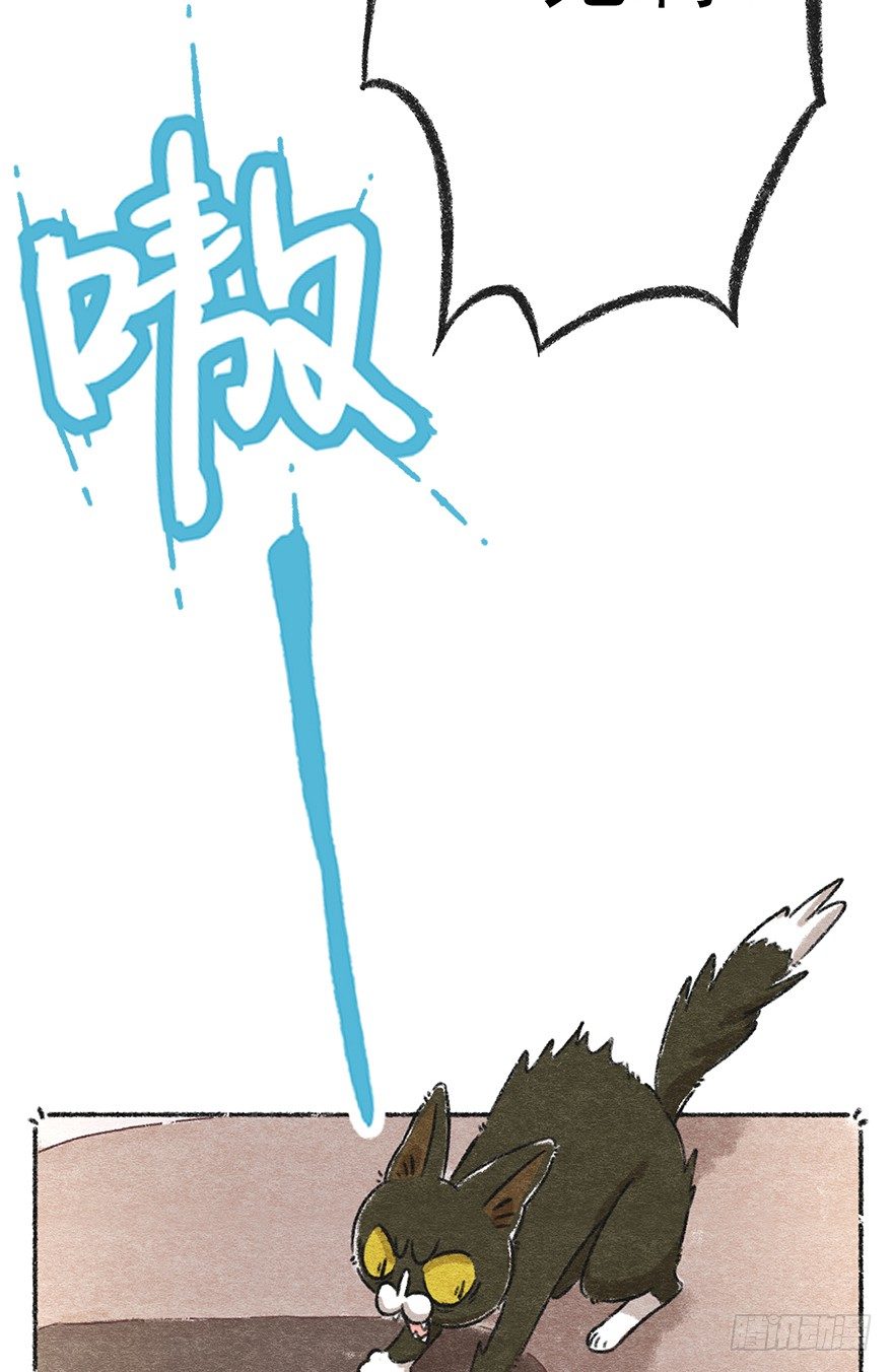 《回到过去变成猫外传》新年番外二怎么哪都有你 第16页