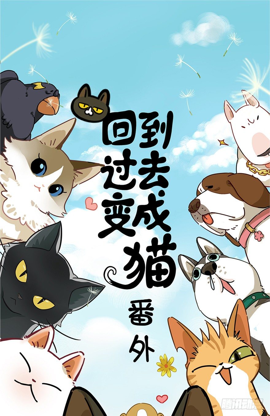 《回到过去变成猫外传》新年番外二怎么哪都有你 第1页