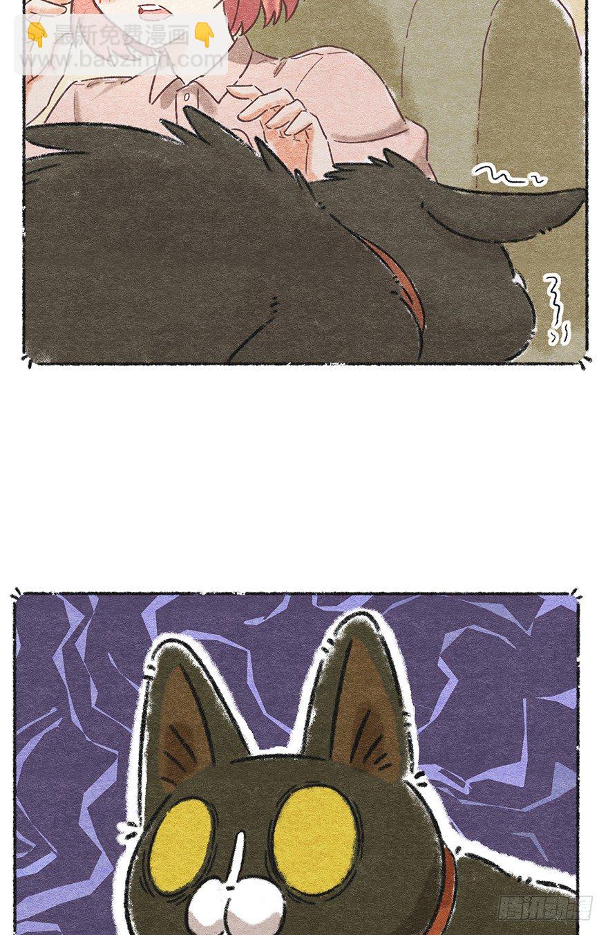 《回到过去变成猫外传》新年番外二怎么哪都有你 第20页