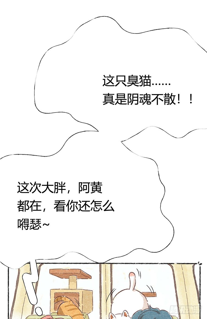 《回到过去变成猫外传》新年番外二怎么哪都有你 第33页
