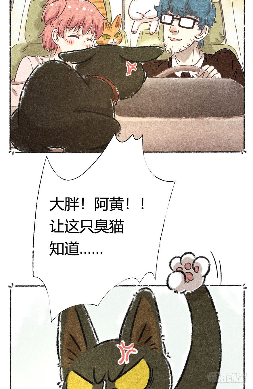 《回到过去变成猫外传》新年番外二怎么哪都有你 第34页