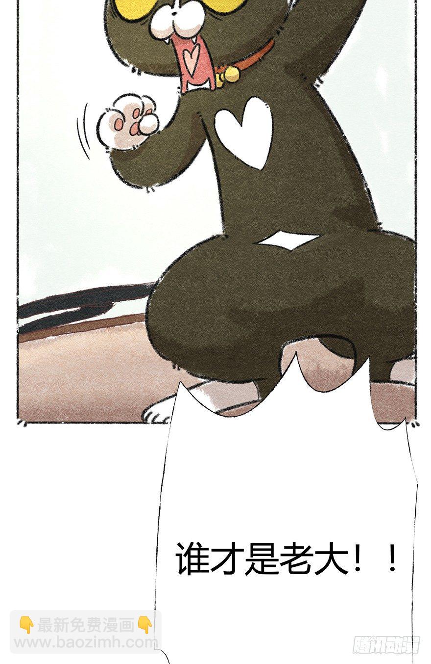 《回到过去变成猫外传》新年番外二怎么哪都有你 第35页
