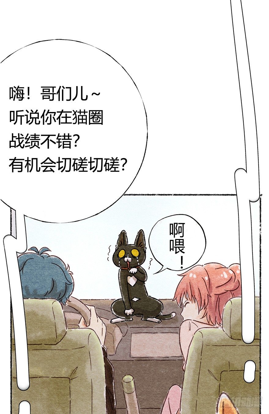 《回到过去变成猫外传》新年番外二怎么哪都有你 第37页