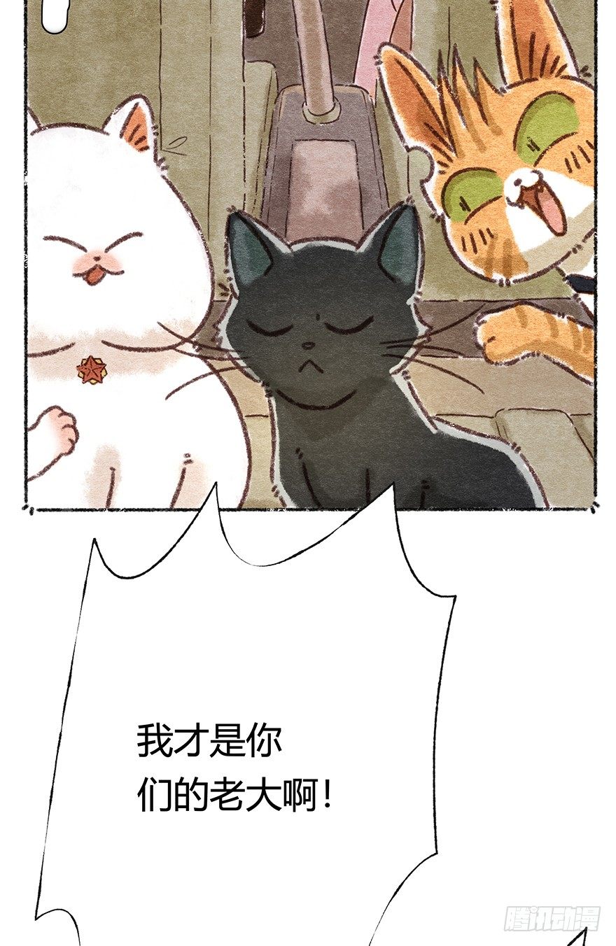 《回到过去变成猫外传》新年番外二怎么哪都有你 第38页