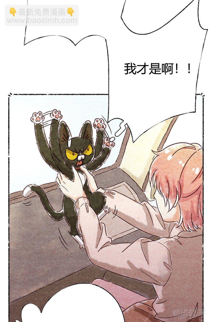 《回到过去变成猫外传》新年番外二怎么哪都有你 第39页