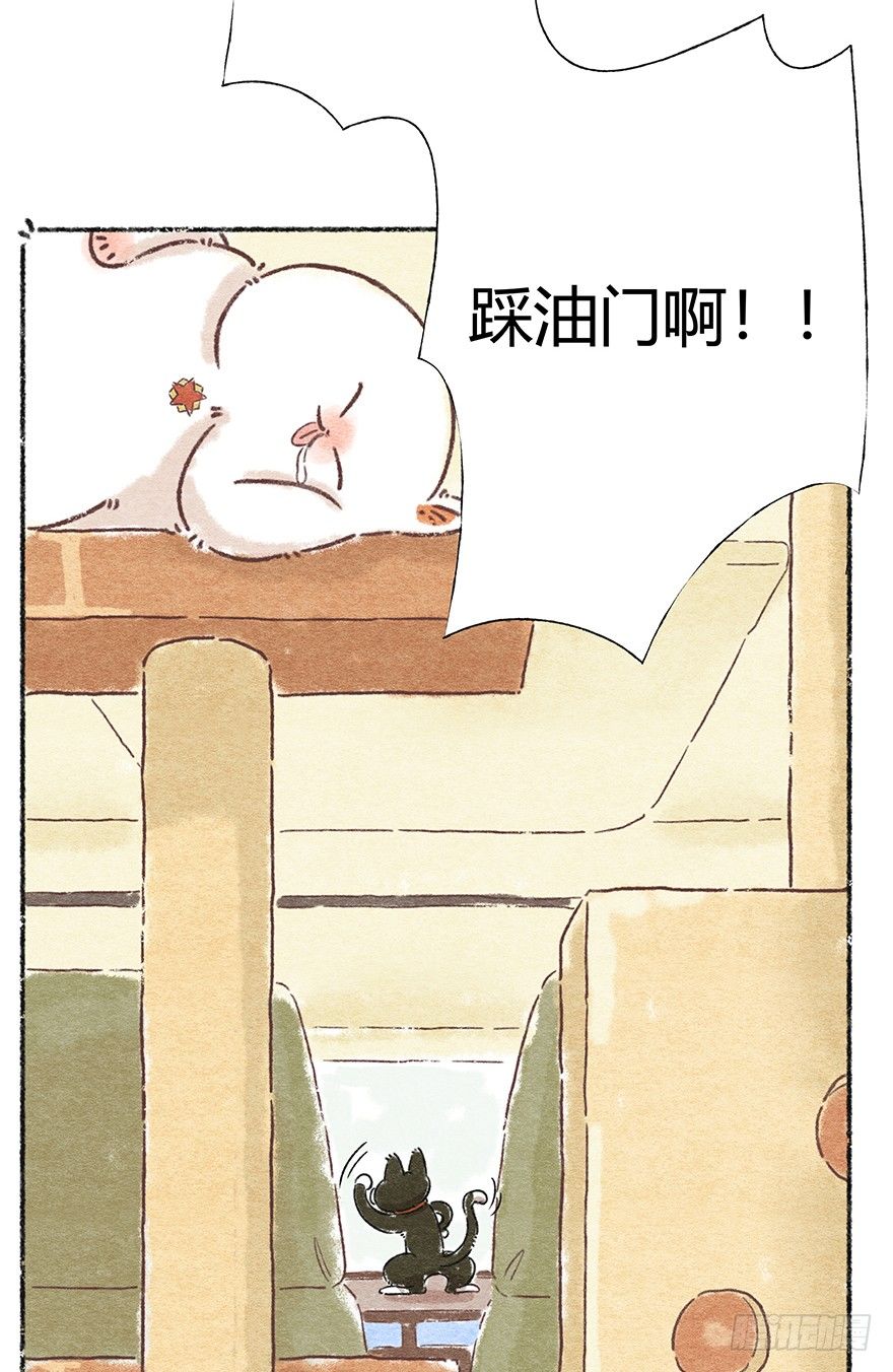 《回到过去变成猫外传》新年番外二怎么哪都有你 第5页