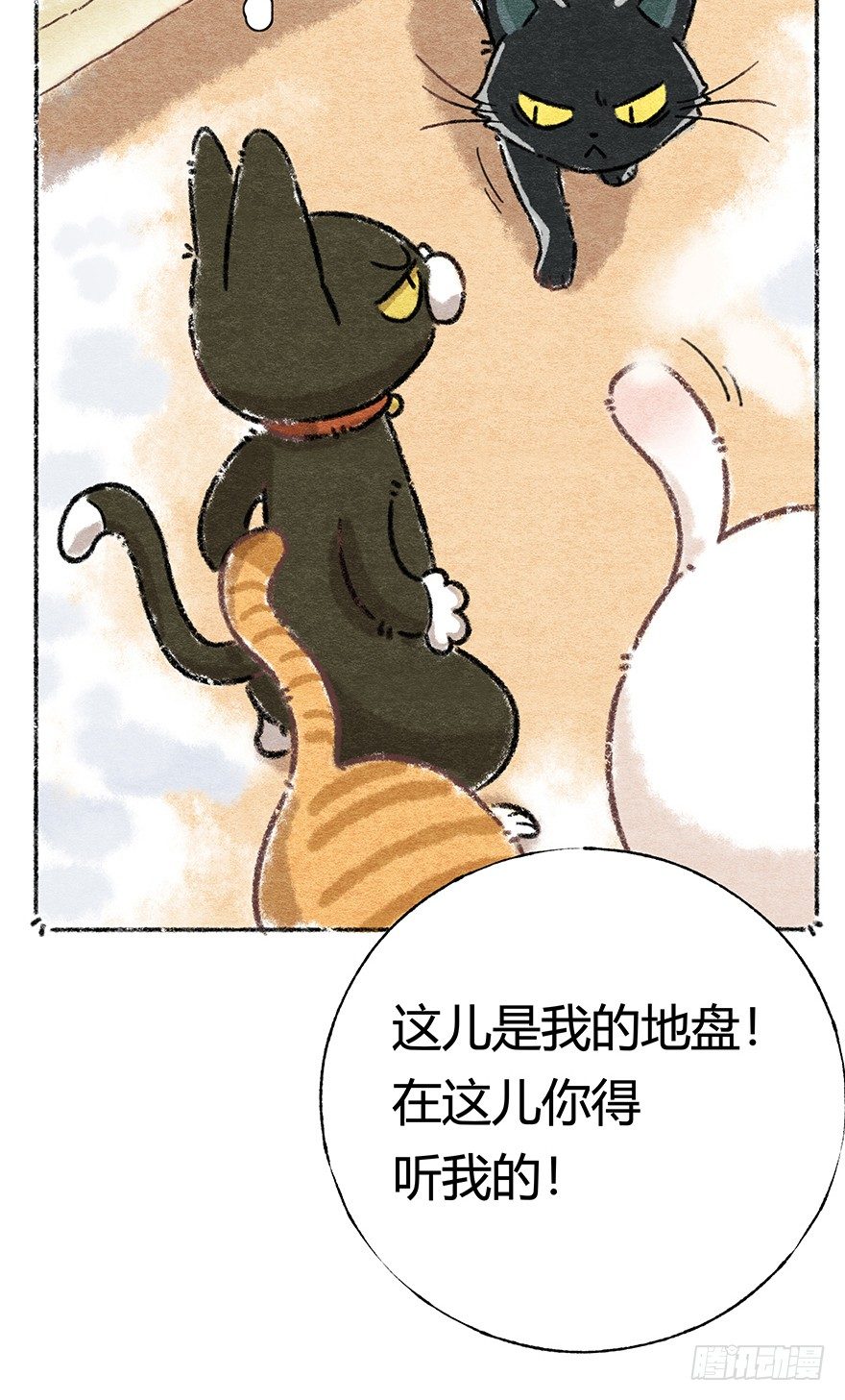 《回到过去变成猫外传》新年番外三 不一样的春节 第15页