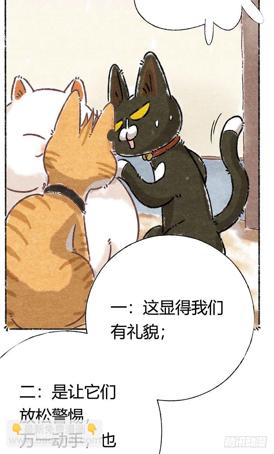 《回到过去变成猫外传》新年番外三 不一样的春节 第40页