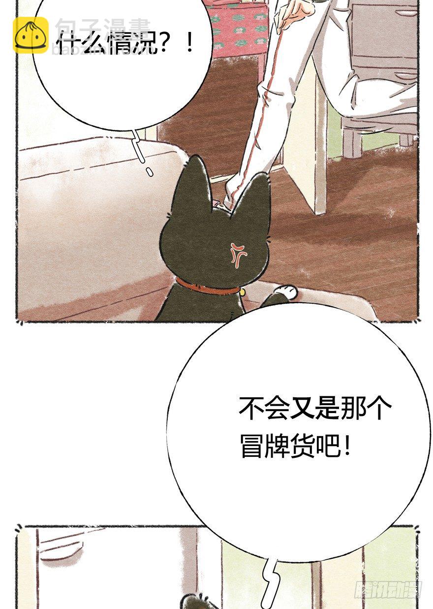 《回到过去变成猫外传》新年番外一为啥没有猫年 第16页