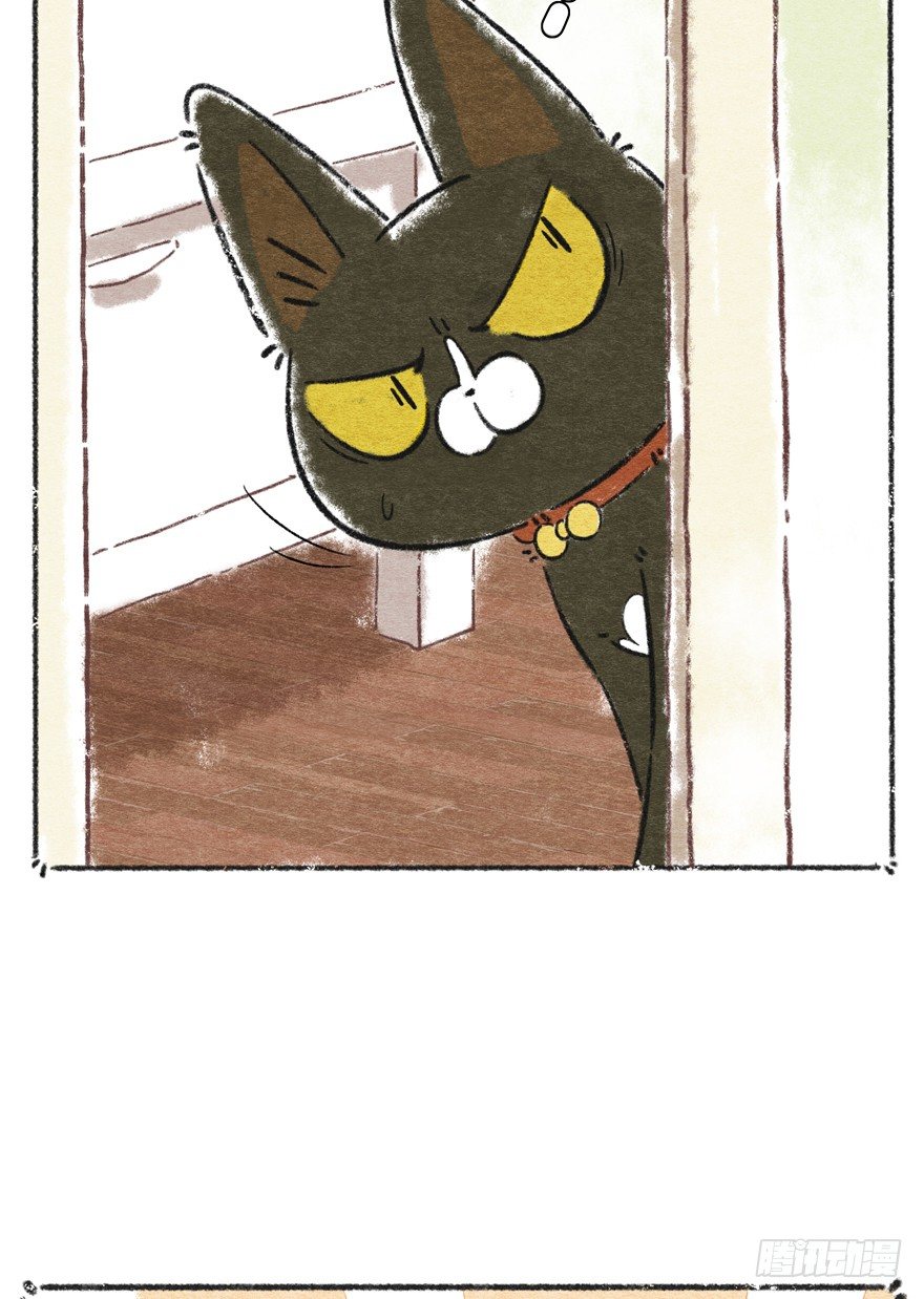《回到过去变成猫外传》新年番外一为啥没有猫年 第17页