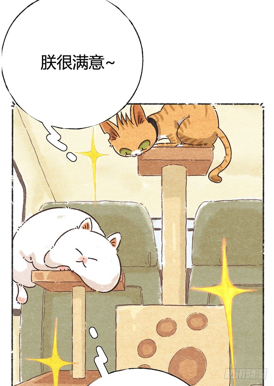 《回到过去变成猫外传》新年番外一为啥没有猫年 第28页