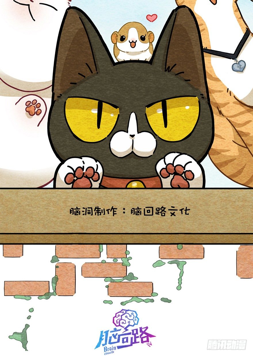 《回到过去变成猫外传》新年番外一为啥没有猫年 第2页