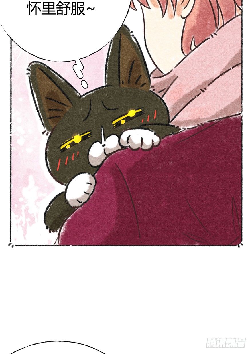 《回到过去变成猫外传》新年番外一为啥没有猫年 第30页
