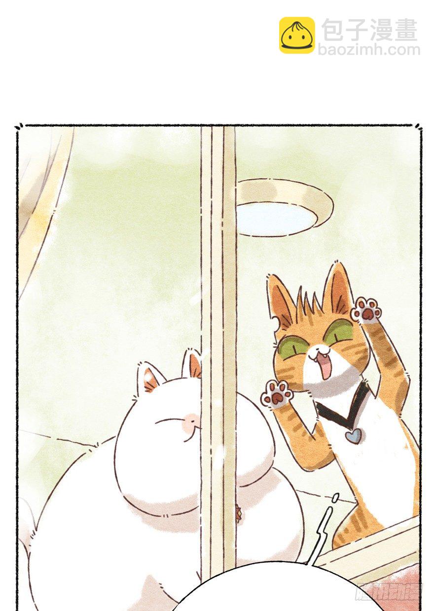 《回到过去变成猫外传》新年番外一为啥没有猫年 第5页