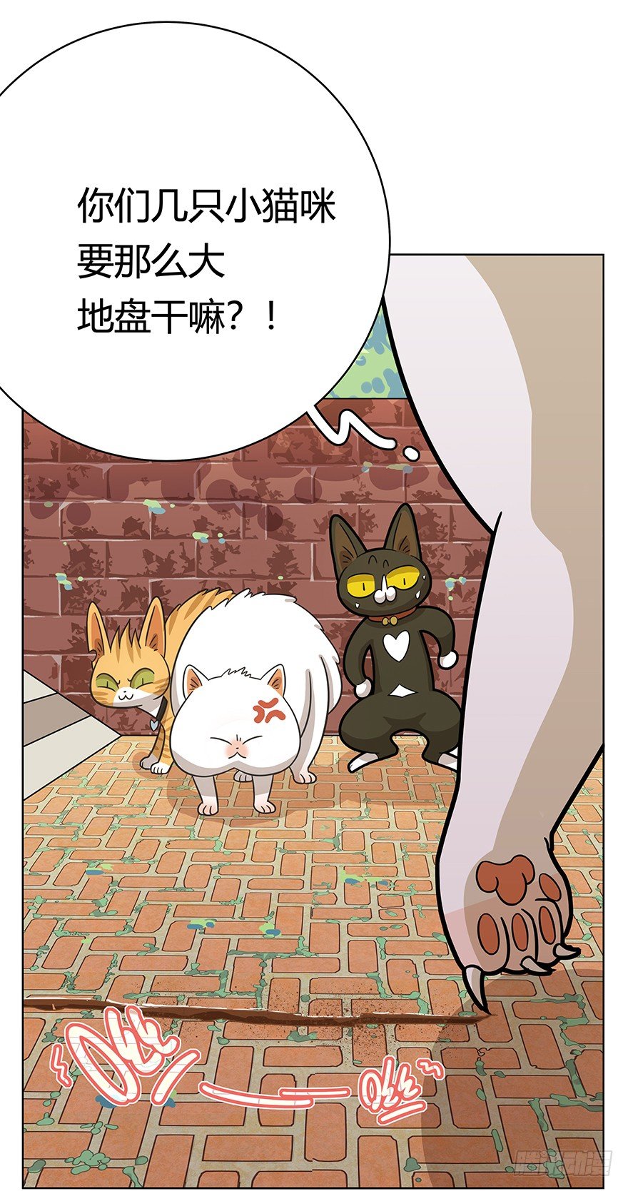 《回到过去变成猫外传》第41爪 外来户（下） 第10页