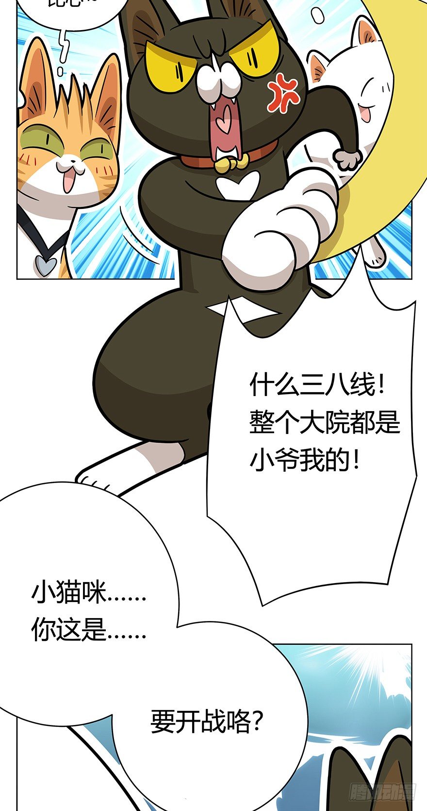 《回到过去变成猫外传》第41爪 外来户（下） 第13页