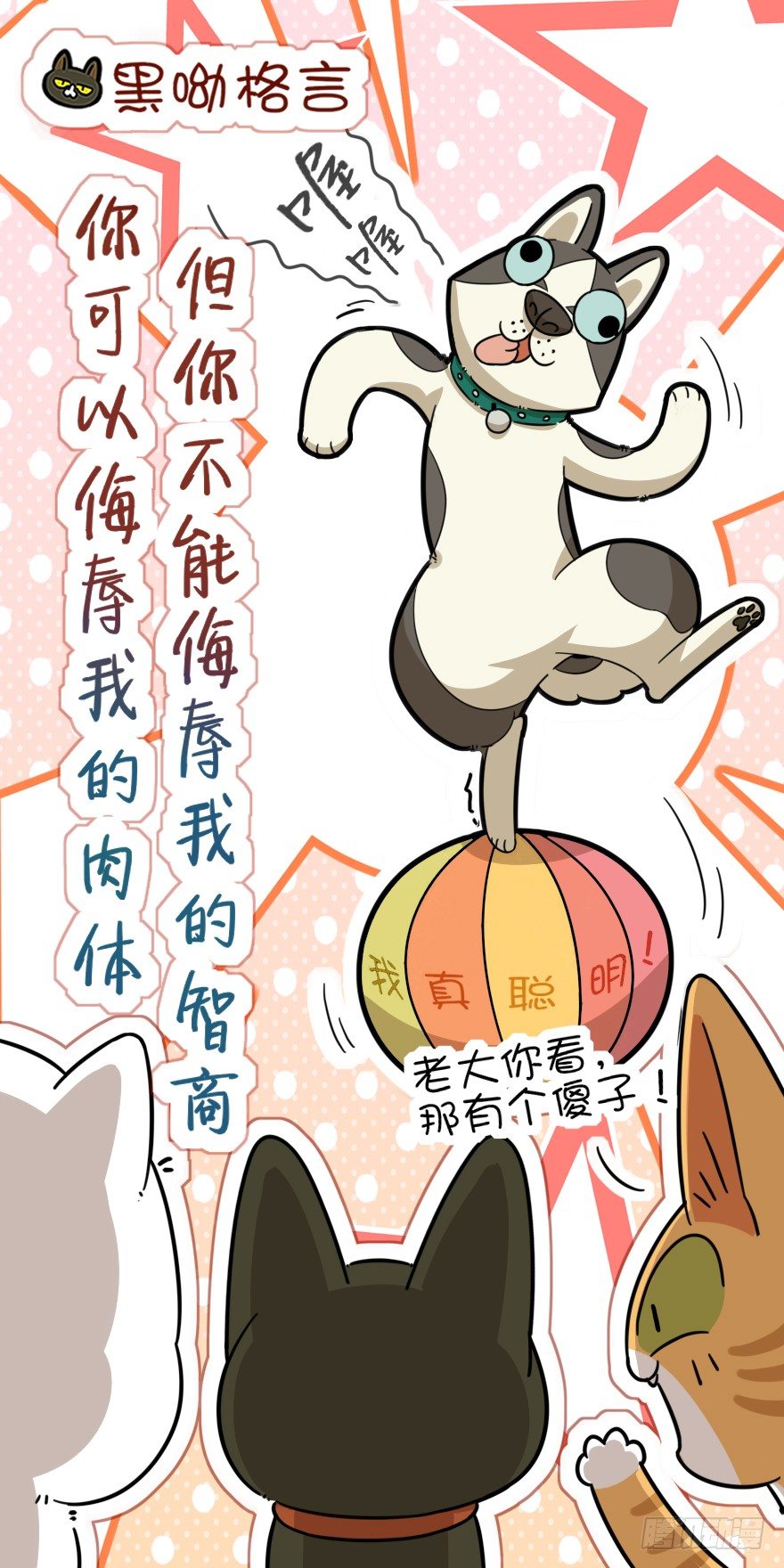 《回到过去变成猫外传》第41爪 外来户（下） 第16页