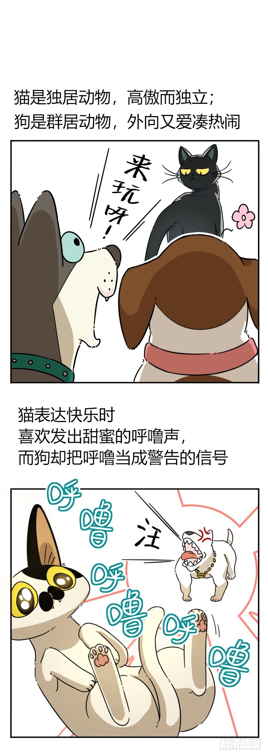 《回到过去变成猫外传》第41爪 外来户（下） 第17页
