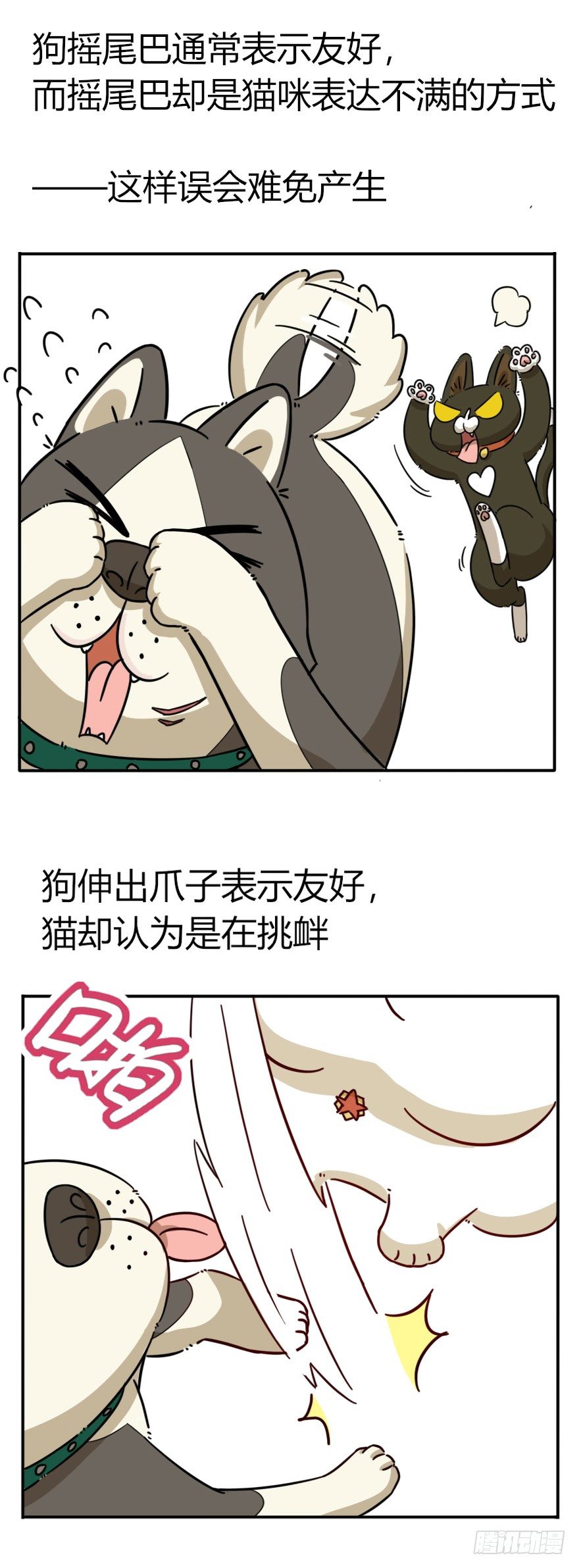 《回到过去变成猫外传》第41爪 外来户（下） 第18页