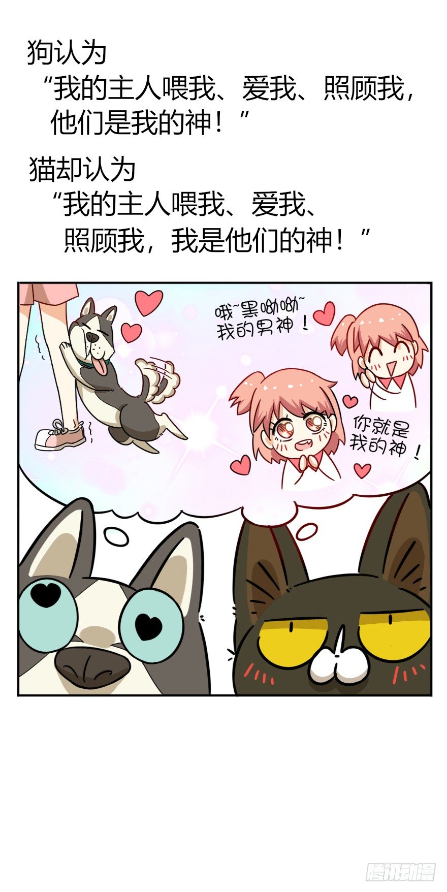 《回到过去变成猫外传》第41爪 外来户（下） 第19页
