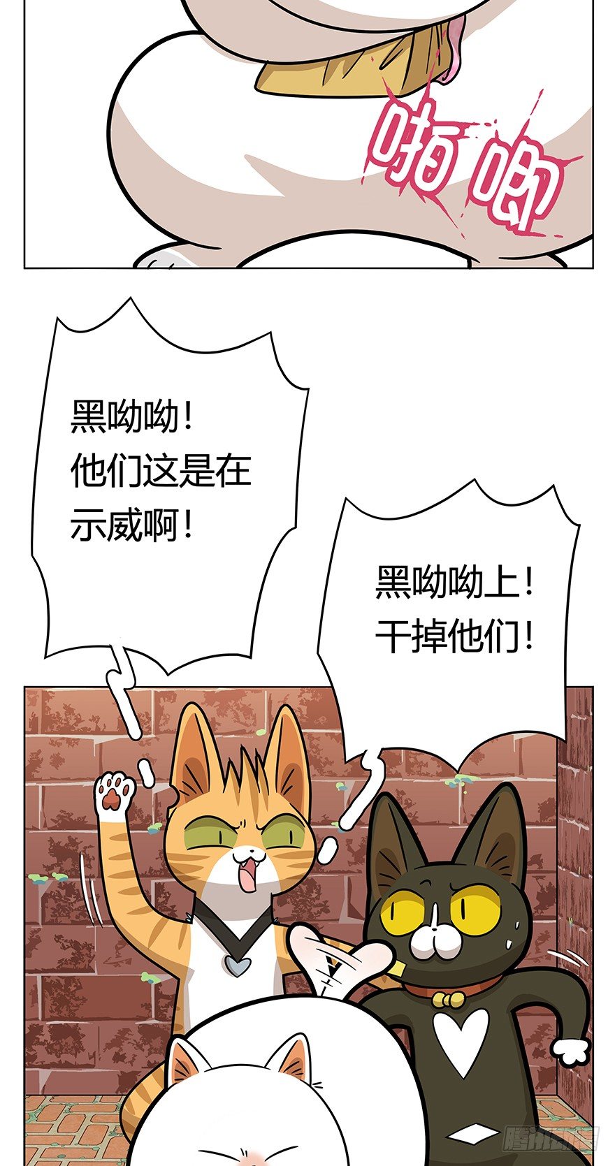 《回到过去变成猫外传》第41爪 外来户（下） 第5页