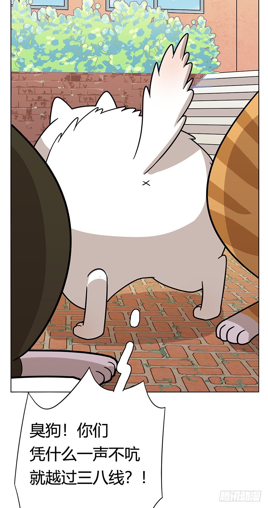 《回到过去变成猫外传》第41爪 外来户（下） 第8页