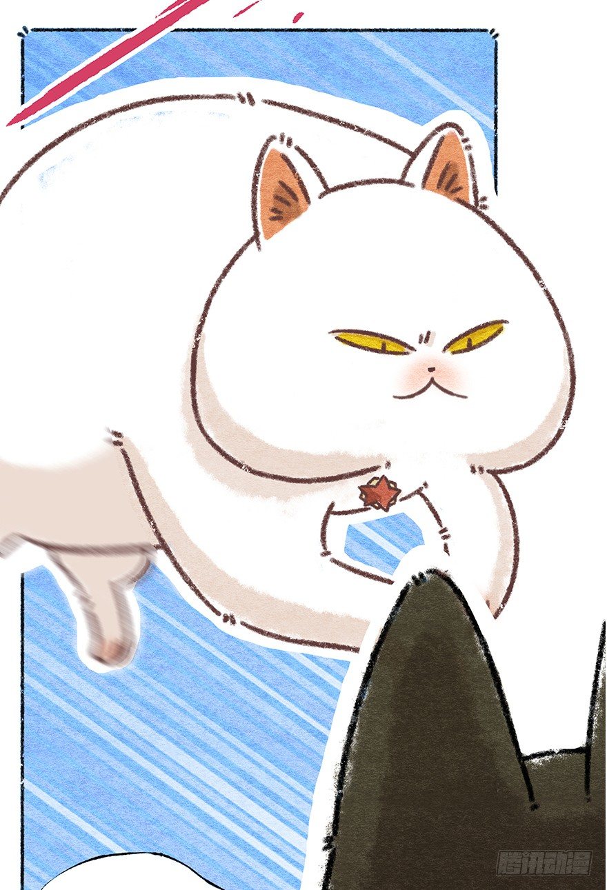 《回到过去变成猫外传》新年番外六 有你在真好 第11页