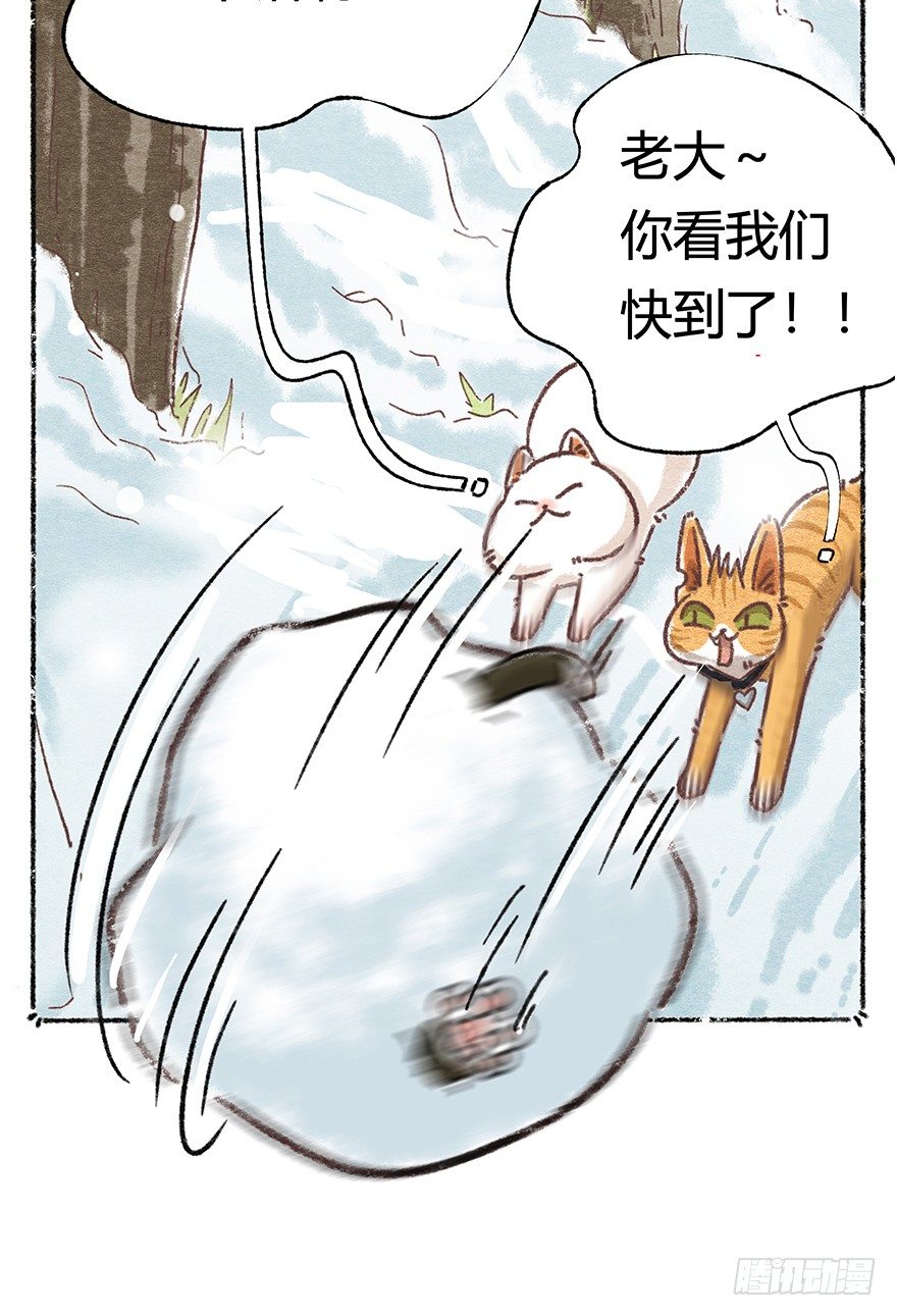 《回到过去变成猫外传》新年番外六 有你在真好 第16页